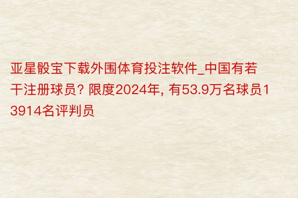 亚星骰宝下载外围体育投注软件_中国有若干注册球员? 限度2024年, 有53.9万名球员13914名评判员